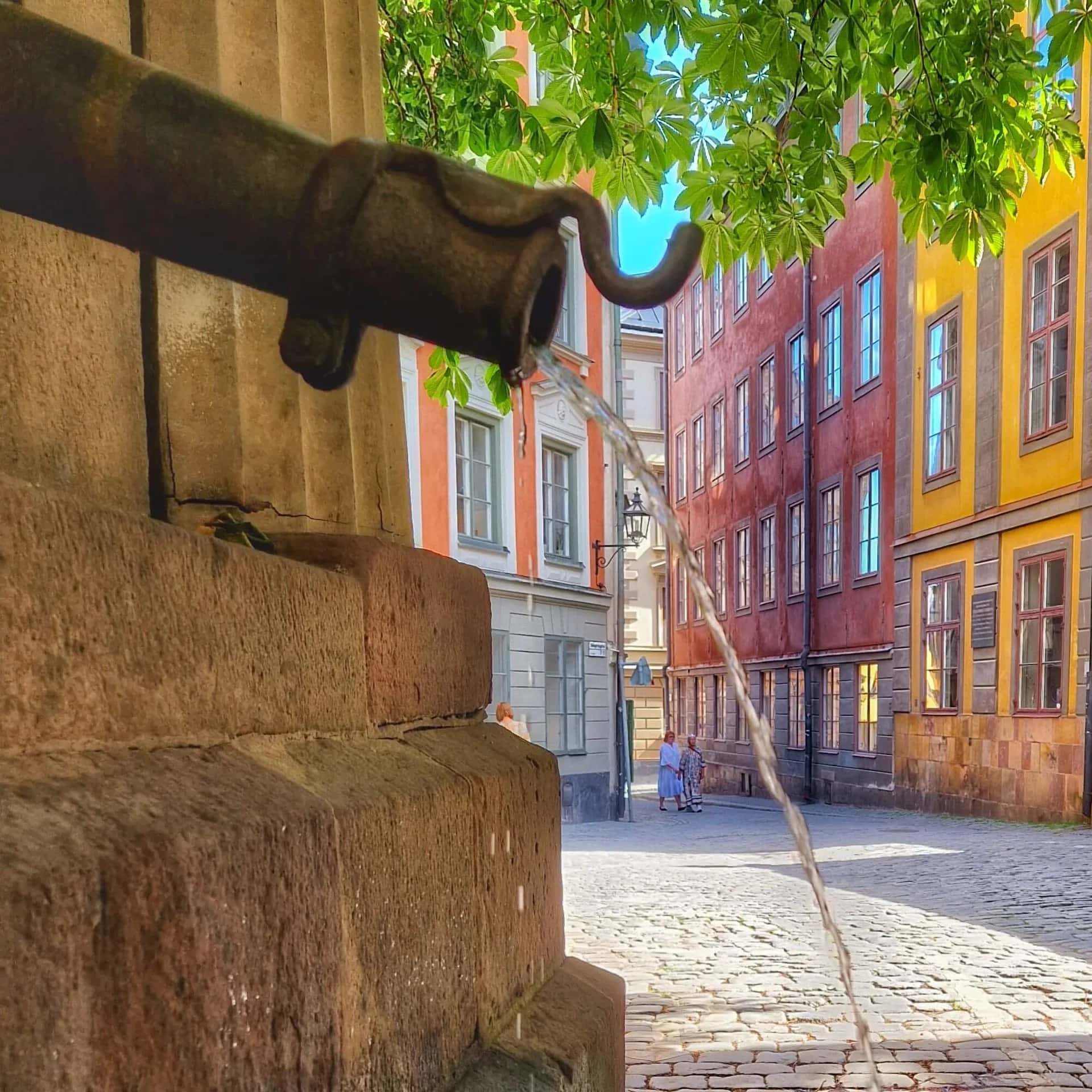 Gamla stan – bortom fasaderna